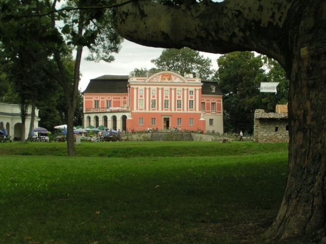 Pałac Kurozwęki