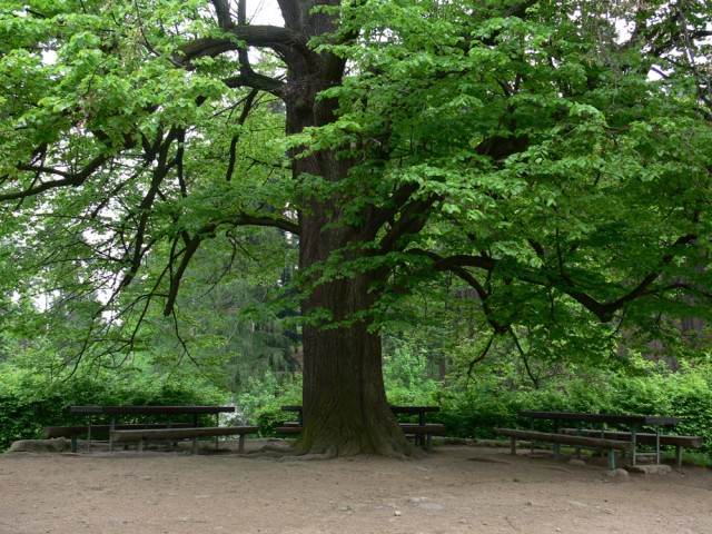 Przed schroniskiem Szwajcarka