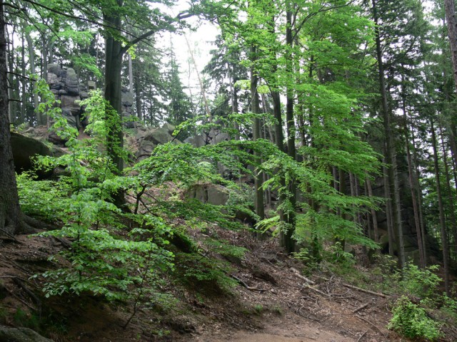 Sokolik - skały na zboczu