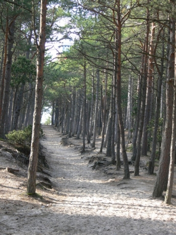 Szlak do latarni Stilo