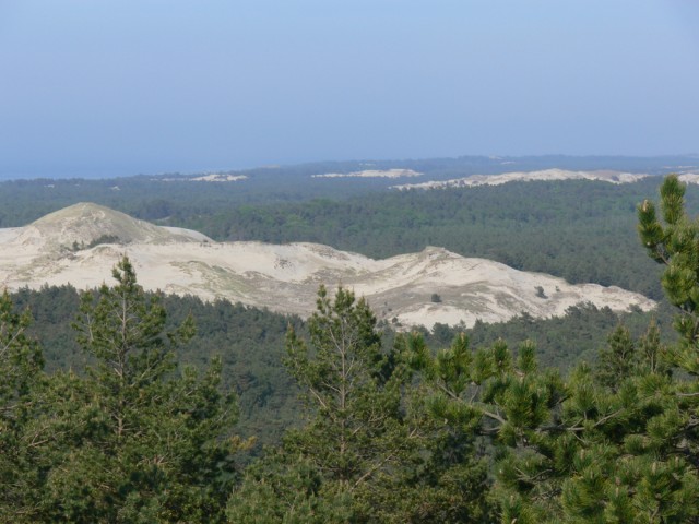 Widok na Wydmę Czołpińską