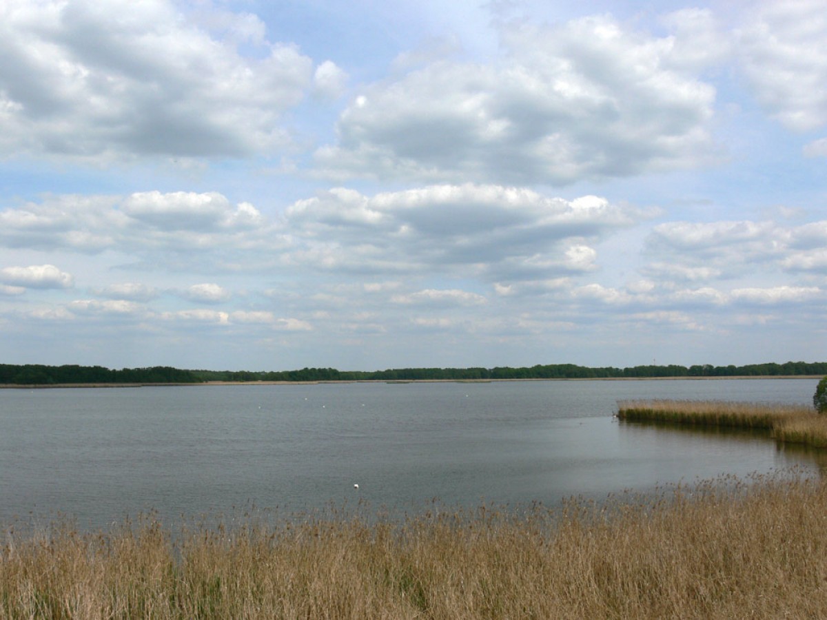 Wieża widokowa - Stawy Milickie