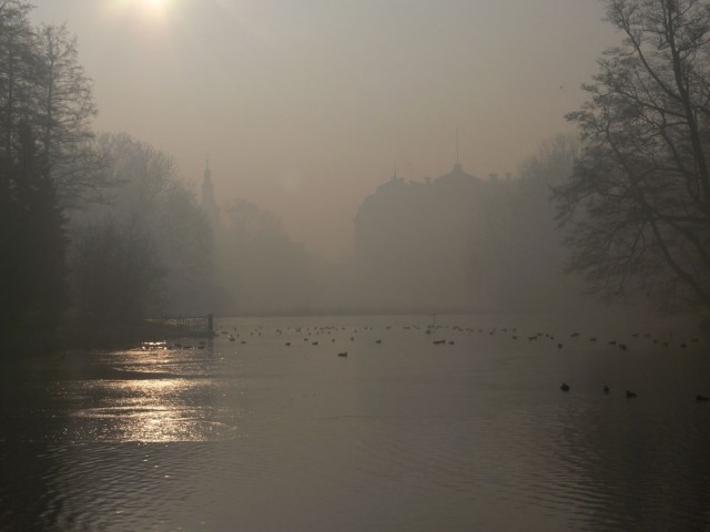 Zamek w jesiennej mgle