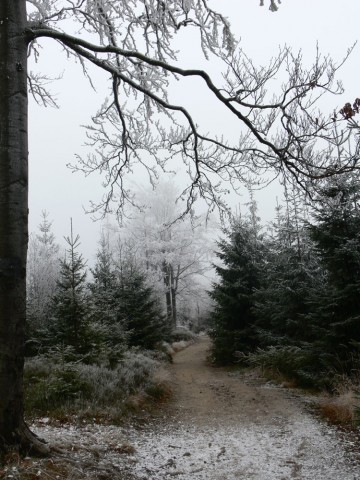 Szlak z Przełęczy Salmopolskiej