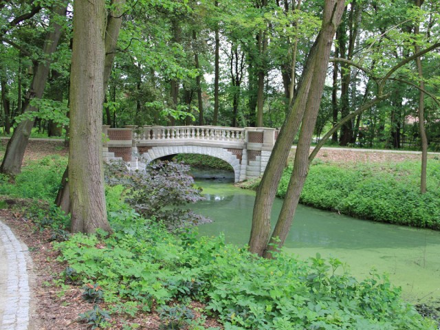 Arboretum Pawłowice