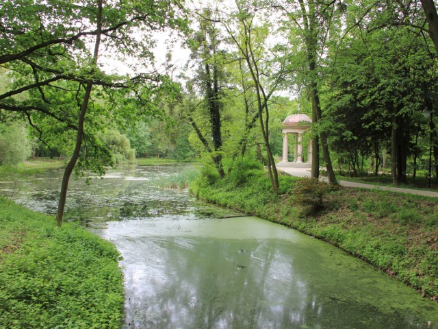 Staw w arboretum Pawłowice