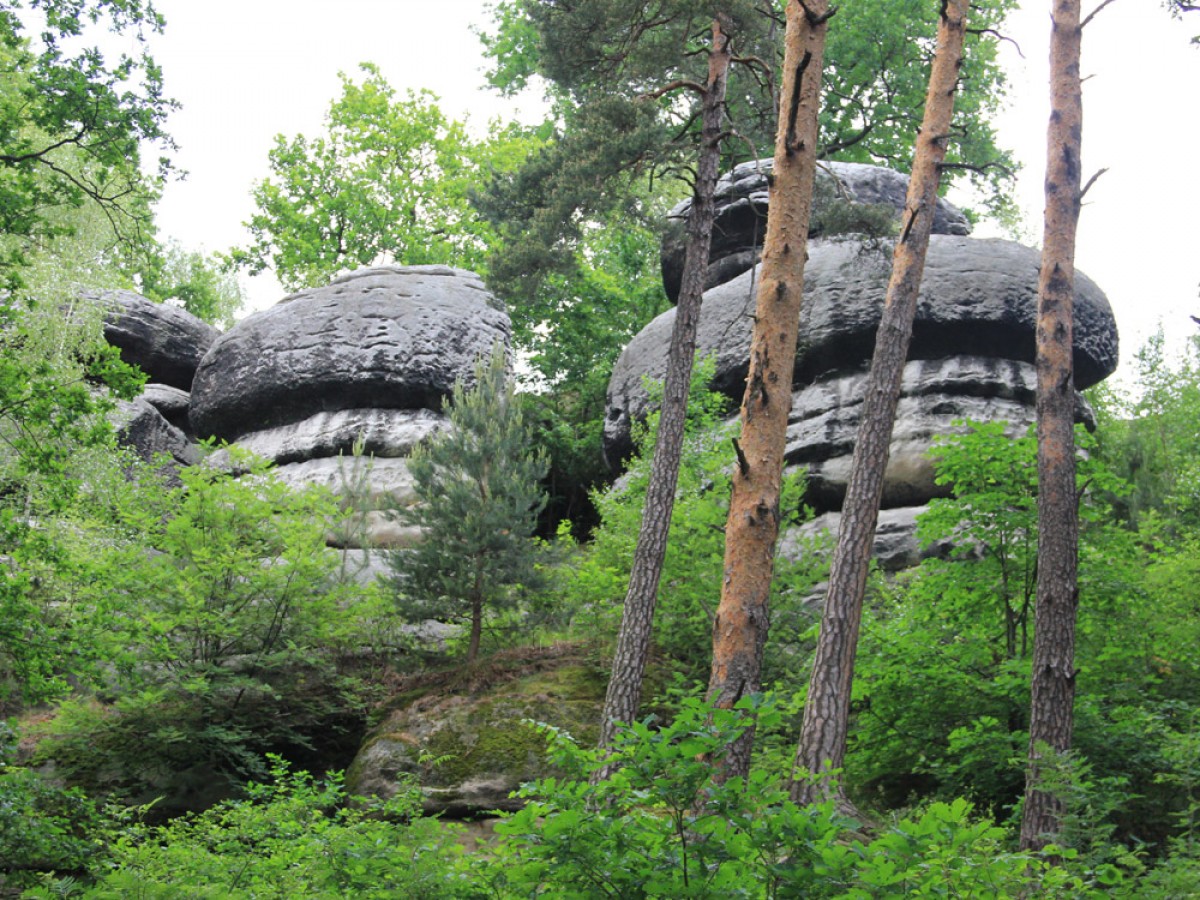 Szwajcaria Lwówecka