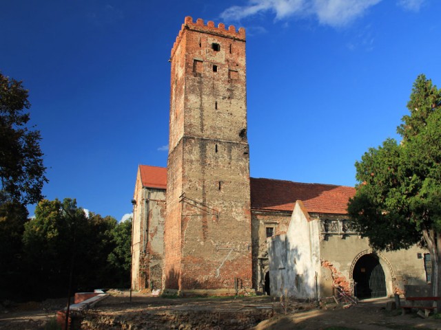 Zamek w Prochowicach