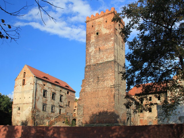 Zamek w Prochowicach