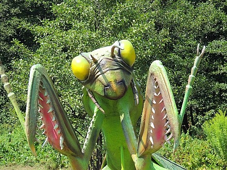 Park Owadów w Zatorze