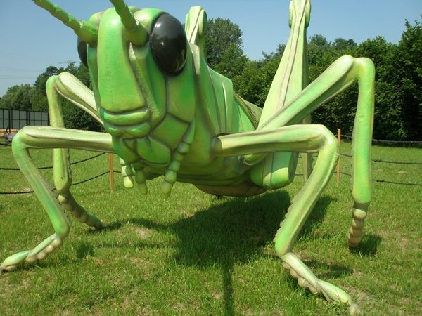 Park Owadów w Zatorze