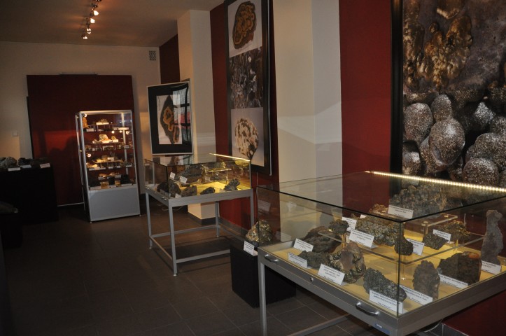 Kolekcja minerałów Ziemi Olkuskiej i skamieniałości Jury Krakowsko-Częstochowskiej