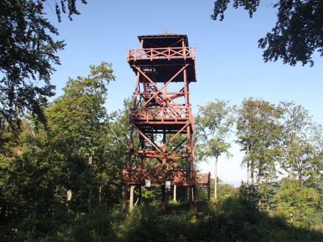 Wieża widokowa na Wapniarce