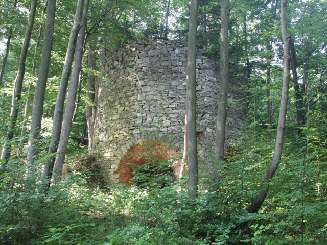 Wapiennik na zboczu Wapniarki