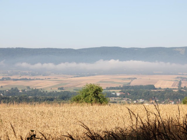 Góry Bystrzyckie - widok z zielonego szlaku
