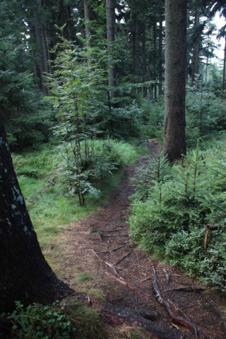 Szlak na Trójmorski Wierch