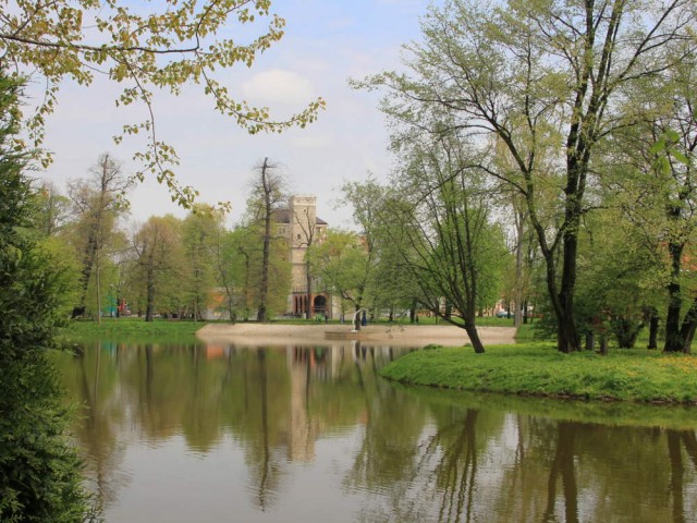 Staw przy Zamku Topacz