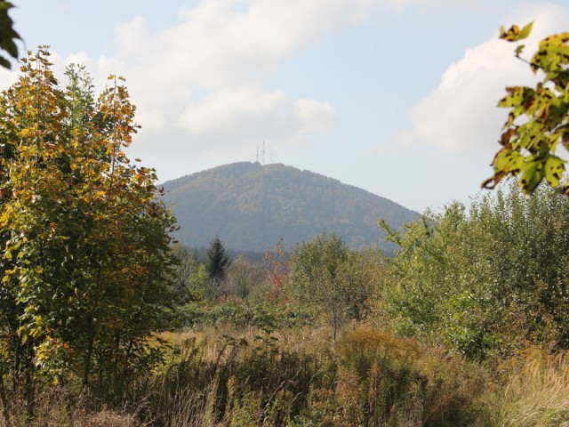 Góra Chełmiec